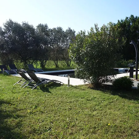 D'acanthe 3*
