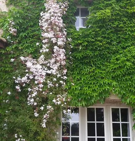 D'acanthe Bed & Breakfast